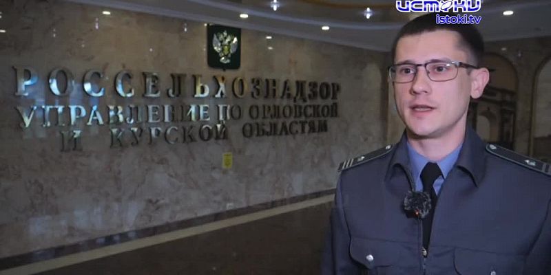 Экспертное мнение 16.10.2024