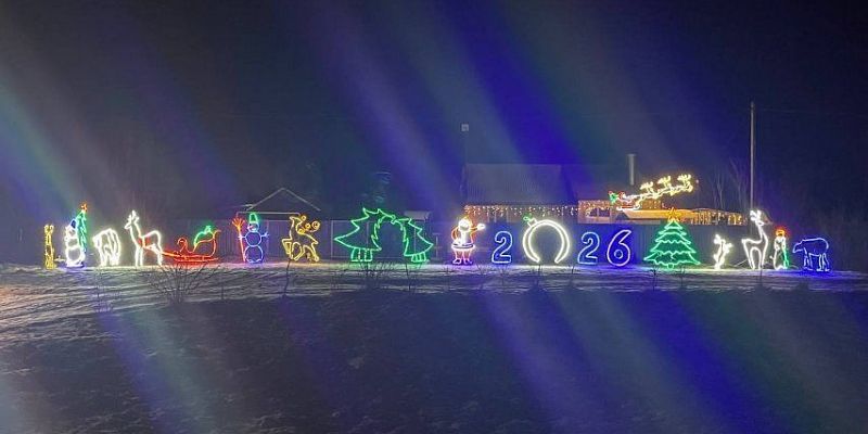 В Орловской области нашли самый новогодний дом 