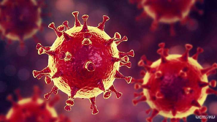 В Черноземье меньше всего выздоровевших пациентов с COVID среди орловчан