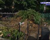 У орловских чиновников слова вновь расходятся с реальностью