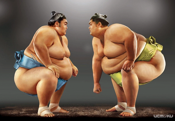 Орёл примет чемпионат России по сумо