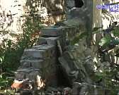 Многие неравнодушные жители нашего города были обеспокоены повальным спилом деревьев, который начался с ранней весны.