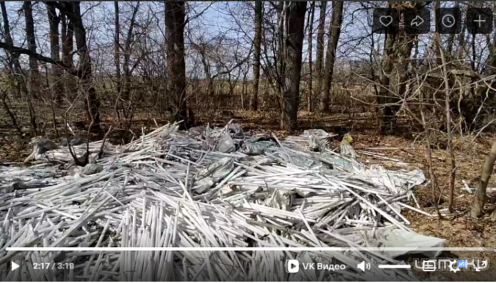 Свалка ртутных ламп в Залегощенской лесной чаще