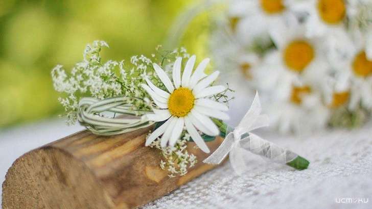 В орловском УФСИН отпраздновали День семьи, любви и верности