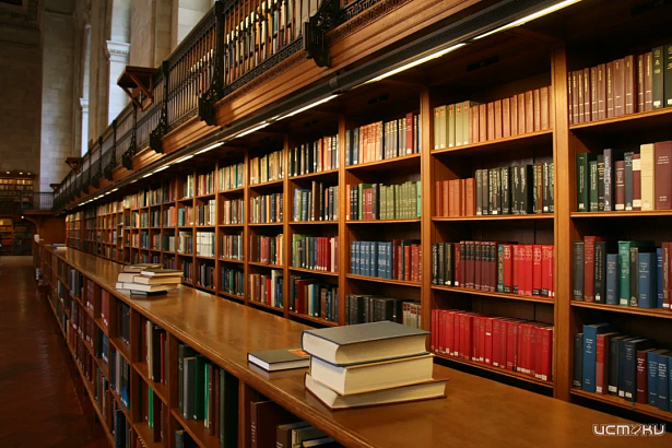 В начале осени библиотеки Орла предлагают жителям города множество интересных мероприятий 