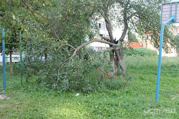 Активисты ОНФ проверили благоустройство орловских дворов