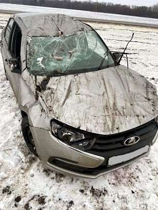 В Орловской области «Лада Гранта» опрокинулась в кювет