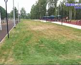 Памятник архитектуры на ул. Гостиной превращается в карточный домик, облправительство решило выкупить типографию "Труд", а орловский каратист завоевал...