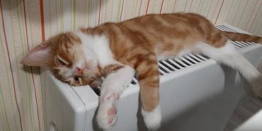 Сегодня несколько орловских домов останутся без отопления