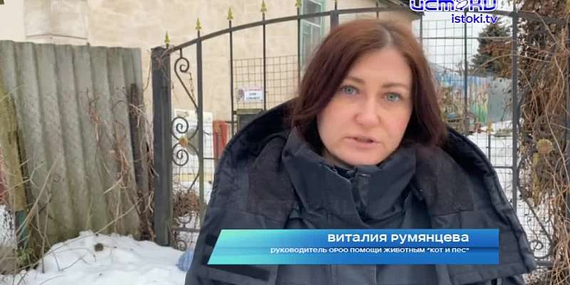 Пушистики, которые ждут новогоднего чуда. Вместе с волонтерами мы съездили в приют в Орле, где, к несчастью, без хозяина осталось более десятка друзей...