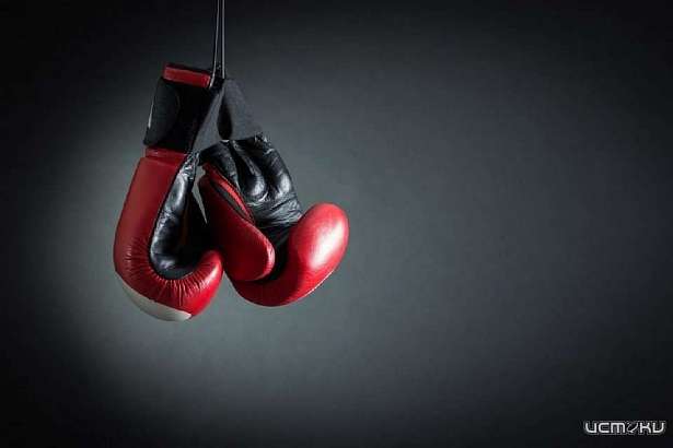 Герои Советского Союза и РФ приедут в Орел на турнир по боксу