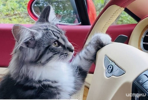 В Орле выставка-ярмарка «Вино — Сыр, Хлеб — Мёд» внесла коррективы в движение транспорта