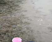 Тротуары в Лужках остаются грязными, несмотря на обещания мэра