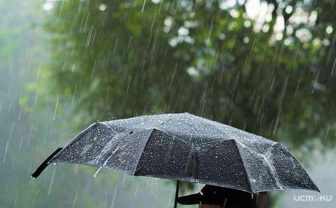 Холода и дожди пришли в Орел