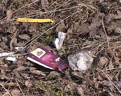 Экологический субботник