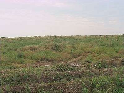 Поля заражены