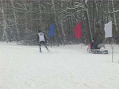 Анонс лыжного спорта