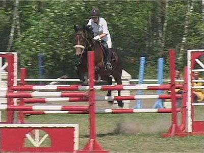 И только лошади летают вдохновенно