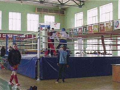 Первенство по кикбоксингу