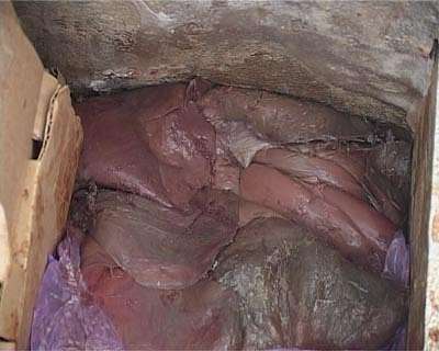 В продаже пропавшая печень