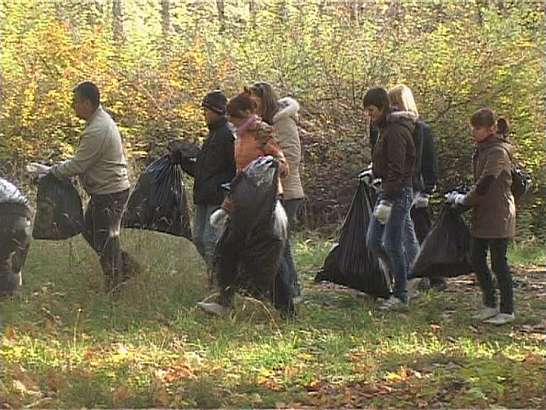 Общегородская чистка