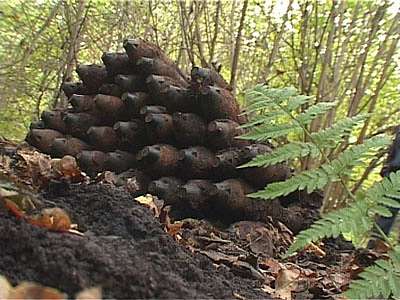 Кромской район мог взлететь на воздух?