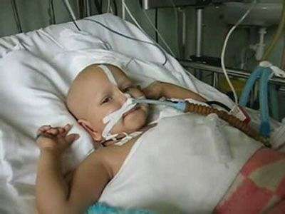 Всеми ручками за жизнь