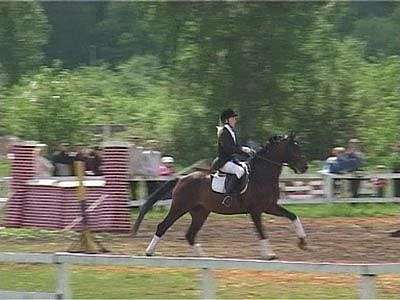 Соревнования на ипподроме