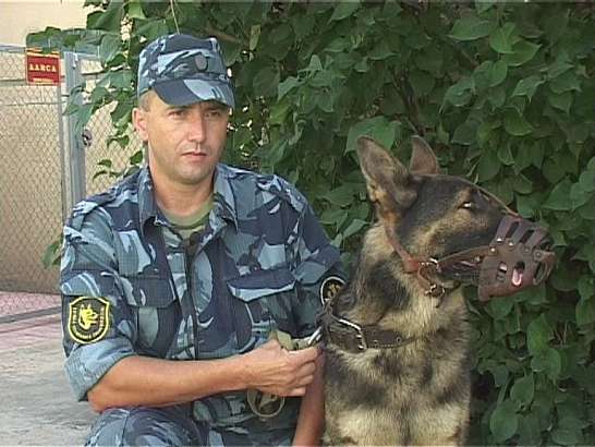 Лучшие кинологи — орловские кинологи