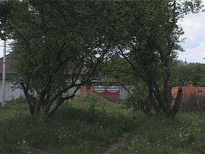 Cпоры в знаменке