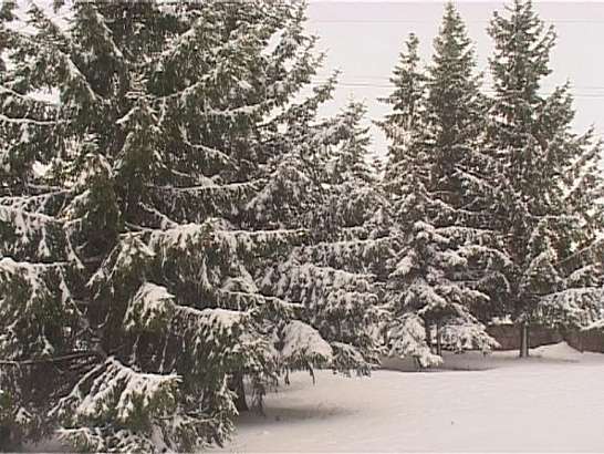 Очередные сюрпризы погоды