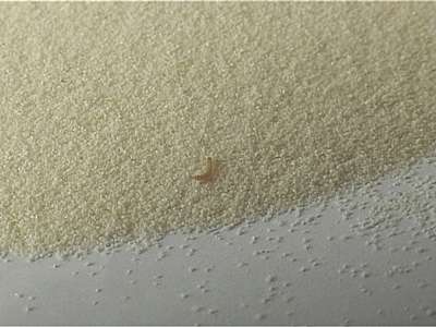 Живые сюрпризы в манной каше