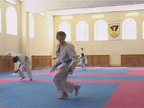 Победа каратистов