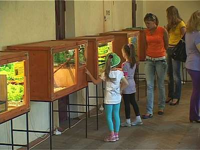 Выставка экзотических животных