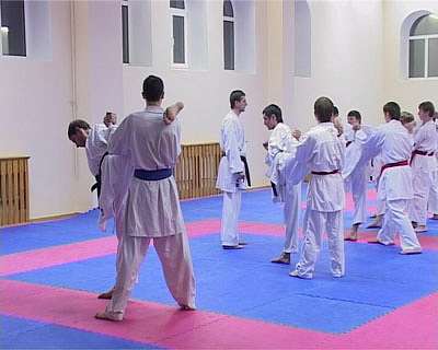 Победа каратистов в Швеции