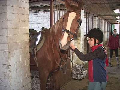 Конный спорт