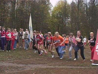 Спорт: кросс