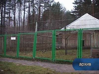 Прокуратура бдит