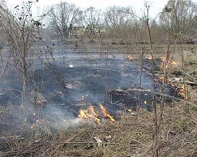 Горящие поля