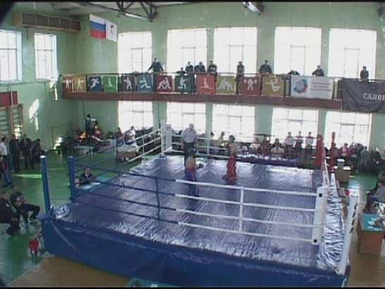 Кик-боксинг