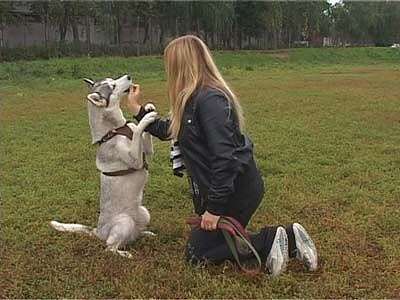 Анонс Акции