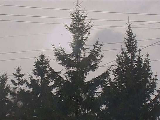 Ураган как сон — стороной пройдет