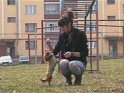 Клещи прилетели