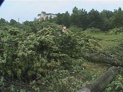 День Ивана Купалы