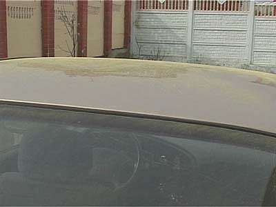 Город позеленел