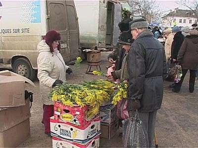 Дефицит мимоз