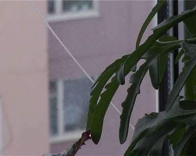 Оконные проблемы