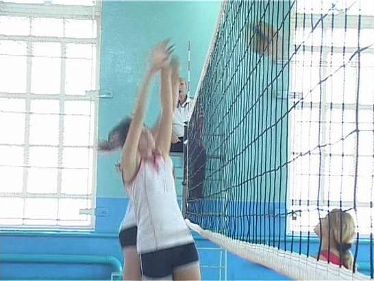 Чемпионат Орловской области по волейболу