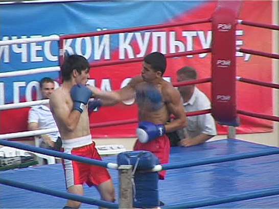 Фестиваль единоборств