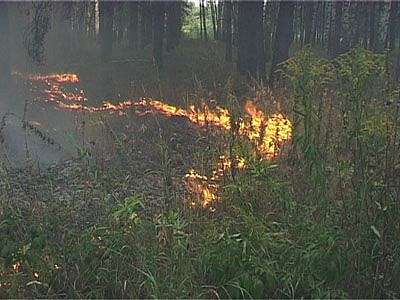 Откуда огонь? — Из лесу вестимо
